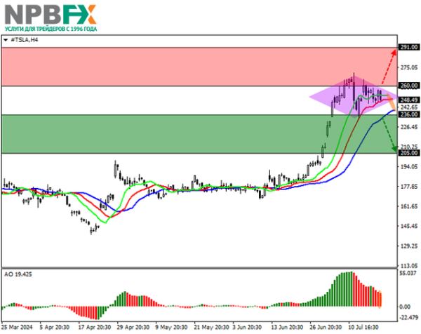 Tesla Inc.: технический анализ 19.07.2024